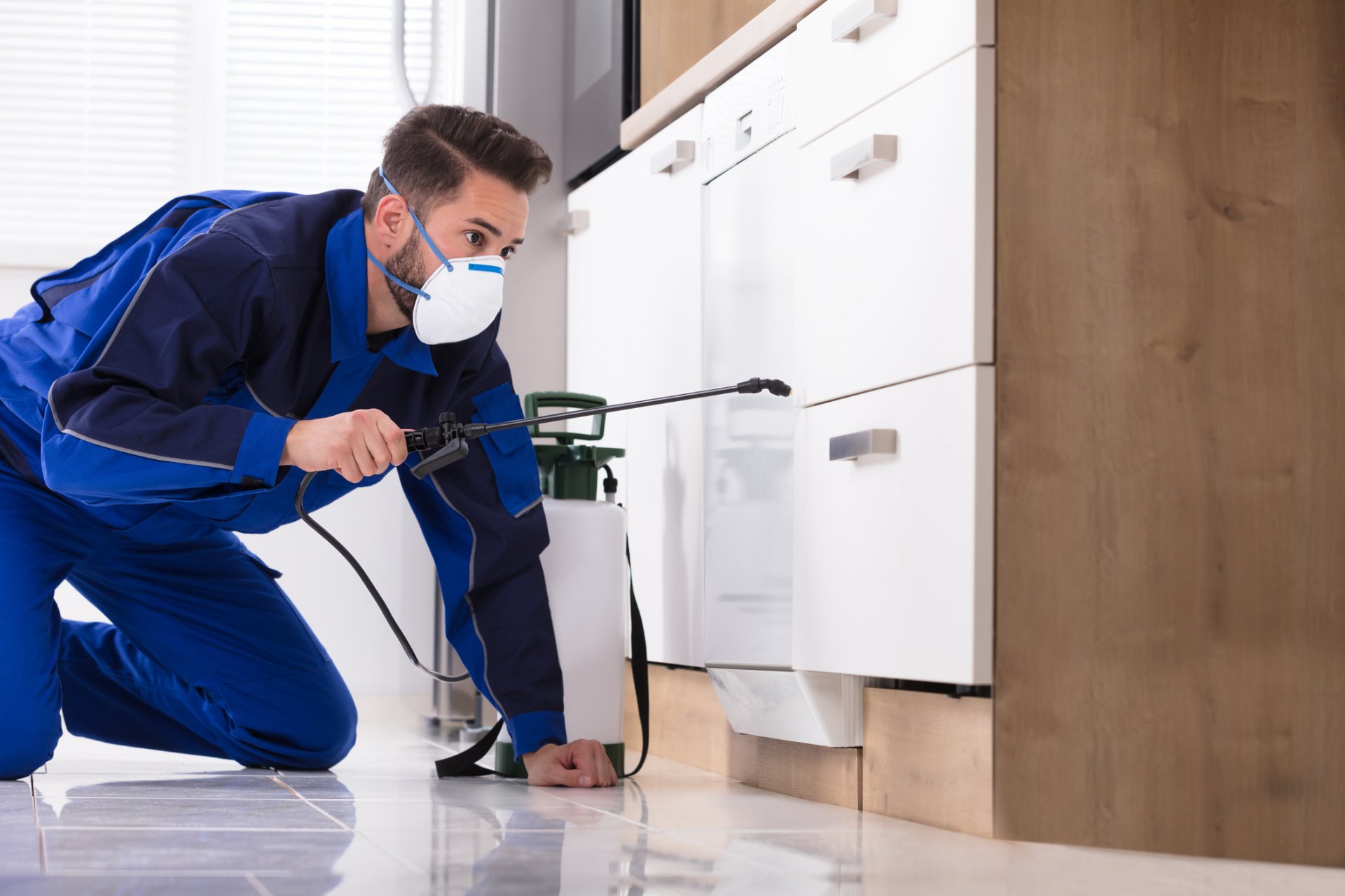 Pest Control Services: Protecting Your Property Investment and Health