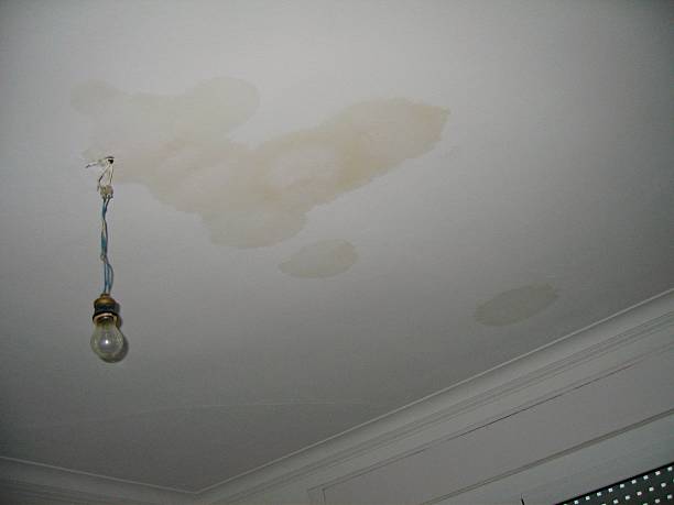 Tips for Finding Reliable Water Damage Restoration Services